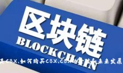 CBX虚拟币：什么是CBX、如何购买CBX、CBX的价值和