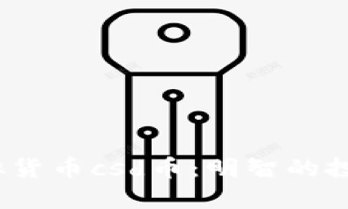 探讨虚拟货币csd币：明智的投资选择？