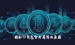 揭秘TP钱包突然有钱的原因