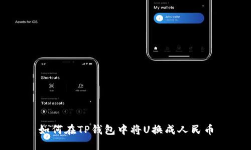 如何在TP钱包中将U换成人民币
