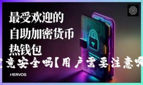 TP钱包究竟安全吗？用户需要注意哪些问题？