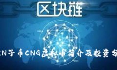 ZKN子币CNG虚拟币简介及投资分析