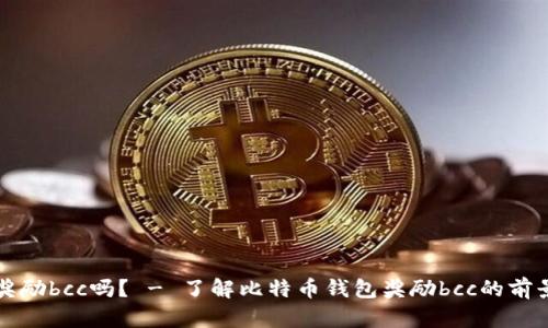 比特币钱包奖励bcc吗？ - 了解比特币钱包奖励bcc的前景和实际效益